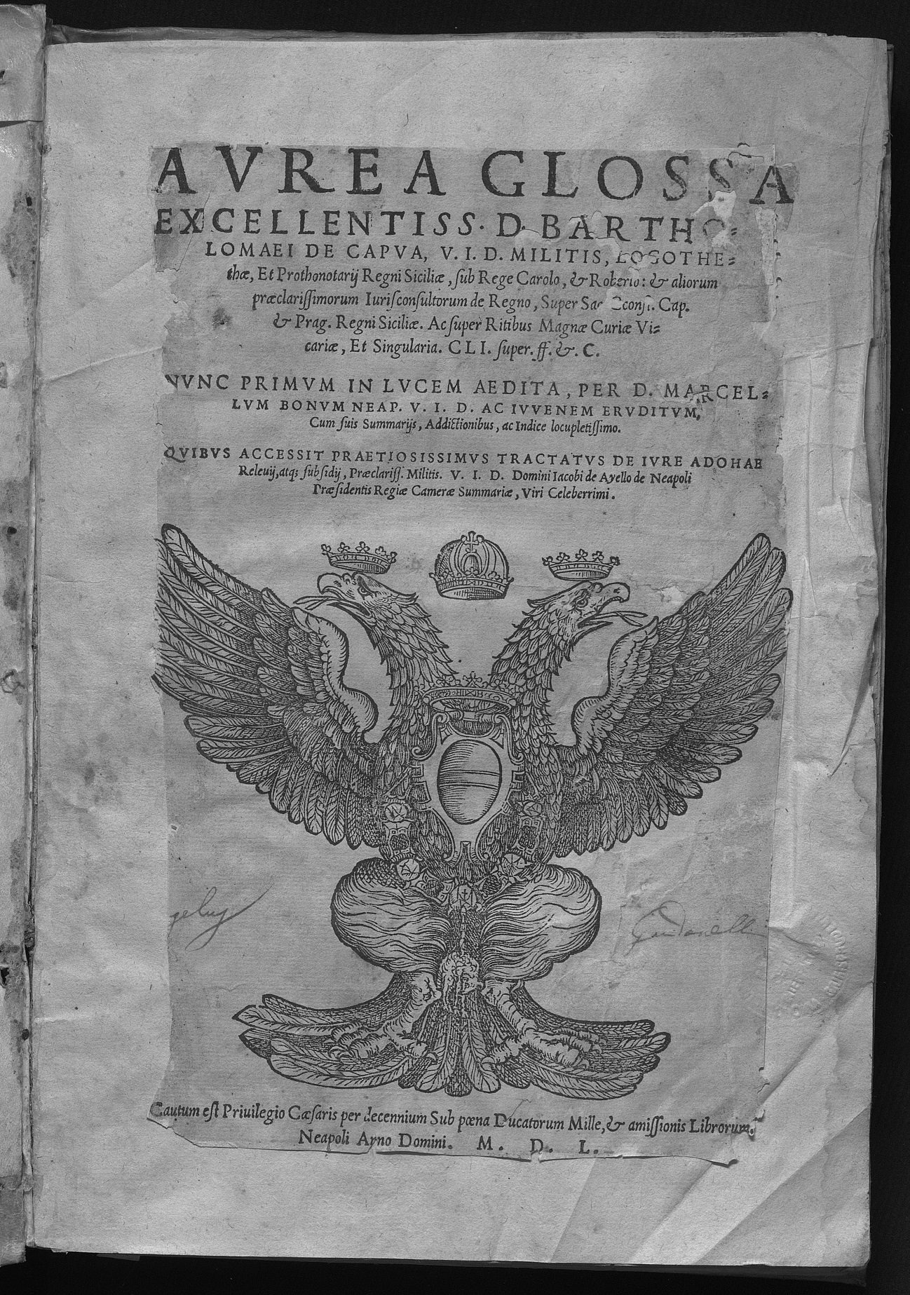 Aurea glossa excellentiss. D. Bartholomaei de Capua