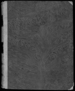 Dictionarium, sev latinae linguaethesaurus 4