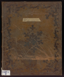 Impianto sue inventario de beni di raggione della communità di Verdello Maggio.re fatto l'anno 1778, [Fran.co Alborghetti Pub.co Perito ed Aggr. Colleggiato di Berg.mo]