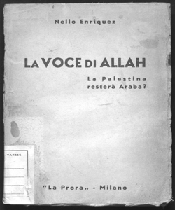 La voce di Allah la Palestina resterà Araba? Nello Enriquez prefazione di Marco Pomilio