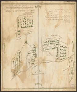 [Mappa dei possedimenti dei Nobiluomini Giovanni Maria Mosconi e Giuseppe Giovanelli nei territori dei Comuni di Trescore ed Entratico] Giuseppe Pezzoli di Leffe, agrimensore