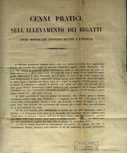 Cenni pratici sull' allevamento dei bigatti onde minorare possibilmente l' atrofia / [Alessio Antonio Rota]