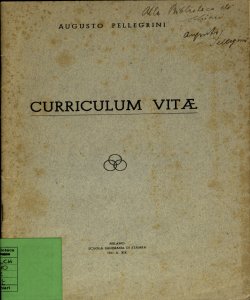 Curriculum vitae / Augusto Pellegrini
