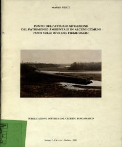 Punto dell'attuale situazione del patrimonio ambientale in alcuni comuni posti sulle rive del fiume Oglio / M. Pesce