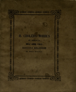 Il cholera-morbus in Brescia nell'anno 1855 : succinta relazione del medico municipale / Lodovico Da Ponte