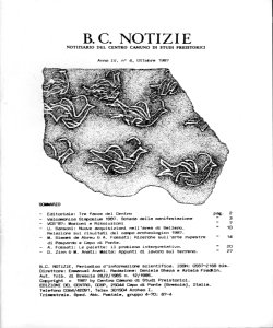 B.C. NOTIZIE - 4, n. 4 - ottobre 1987