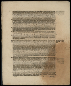 Essendo stato esposto all'illustrissimo, & eccellentissimo signore, il signore don Gioanni de Mendozza ... in nome di Delia Orrigona ...