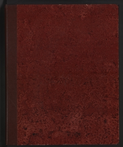 1981
