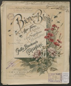 Biene und Blume : Melodie für eine Singstimme mit Klavierbegleitung / von Gellio Benvenuto Coronaro ; worte nach Riccardo Pitterie [!]