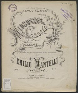 Miosotide : mazurka per pianoforte estratta dal passo di carattere nel ballo l'Avventuriera / di Emilio Mantelli