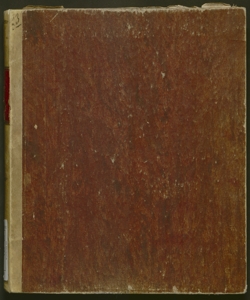 Nabucodonosor : dramma lirico in quattro parti di Temistocle Solera / posto in musica ... da Giuseppe Verdi ; riduzione per canto con accompagnamento di pianoforte di L. Truzzi