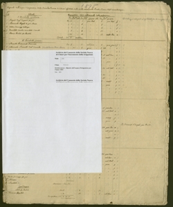 173 - Seriola nuova - Riparto dell'acqua d'irrigazione per l'anno 1895