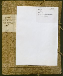 336 - Bollette e ricevute delle prediali degli anni 1818-1819-1820 e 1821