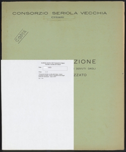 169 - Consorzio Seriola vecchia di Chiari - Ruolo d'esazione di taglie, canoni, contributi dovuti dagli utenti di Castrezzato - Anno 1949