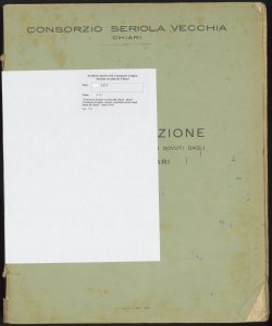 171 - Consorzio Seriola vecchia di Chiari - Ruolo d'esazione di taglie, canoni, contributi dovuti dagli utenti di Chiari - Anno 1949
