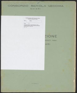 175 - Consorzio Seriola vecchia di Chiari - Ruolo d'esazione di taglie, canoni, contributi dovuti dagli utenti di Chiari - Anno 1951