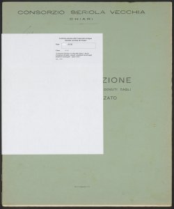 176 - Consorzio Seriola vecchia di Chiari - Ruolo d'esazione di taglie, canoni, contributi dovuti dagli utenti di Castrezzato - Anno 1951