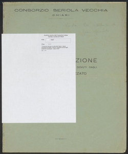 196 - Consorzio Seriola vecchia di Chiari - Ruolo d'esazione di taglie, canoni, contributi dovuti dagli utenti di Castrezzato - Anno 1958