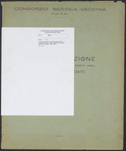 200 - Consorzio Seriola vecchia di Chiari - Ruolo d'esazione di taglie, canoni, contributi dovuti dagli utenti di Castrezzato - Anno 1960