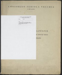 203 - Consorzio Seriola vecchia di Chiari - Ruolo d'esazione di taglie, canoni, contributi dovuti dagli utenti di Castrezzato - Anno 1961