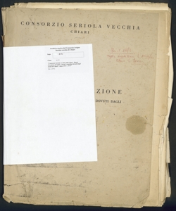 212 - Consorzio Seriola vecchia di Chiari - Ruolo d'esazione di taglie, canoni, contributi dovuti dagli utenti di Chiari - Anno 1972 - 1973