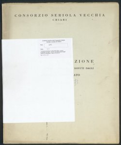 213 - Consorzio Seriola vecchia di Chiari - Ruolo d'esazione di taglie, canoni, contributi dovuti dagli utenti di Castrezzato - Anno 1972/1973
