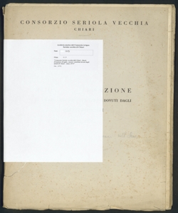 215 - Consorzio Seriola vecchia di Chiari - Ruolo d'esazione di taglie, canoni, contributi dovuti dagli utenti di Chiari - Anno 1974