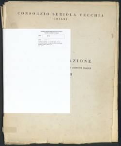 218 - Consorzio Seriola vecchia di Chiari - Ruolo d'esazione di taglie, canoni, contributi dovuti dagli utenti di Chiari - Anno 1975