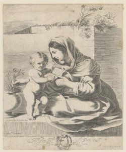 Madonna con Bambino Curti Francesco