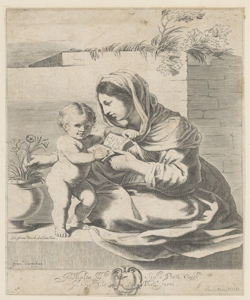 Madonna con Bambino Curti Francesco