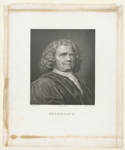 Ritratto di Hermann Boerhaave Anderloni Faustino