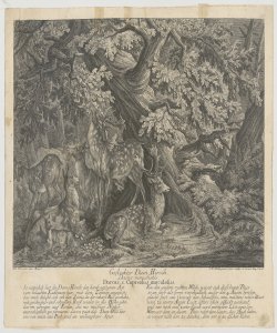 Daini maculati nella foresta Ridinger Johann Elias