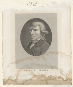 Ritratto di Antonio Scarpa 