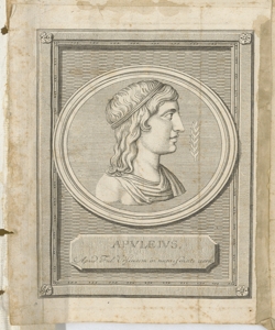 Ritratto di Apuleio 