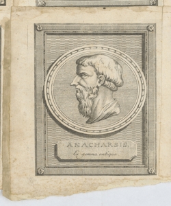 Ritratto di Anacarsi 