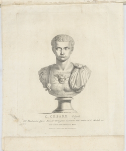 Busto ritratto di Caio Giulio Cesare Caligola Faldoni Giovanni Antonio