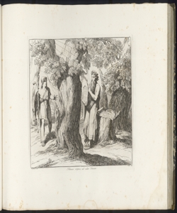 Telemaco e Temosiri Pinelli Bartolomeo