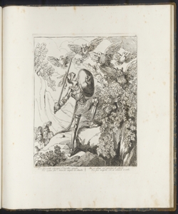 Don Chisciotte affronta gli uccelli Pinelli Bartolomeo