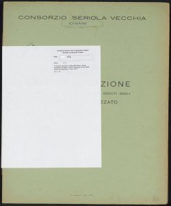 162 - Consorzio Seriola vecchia di Chiari - Ruolo d'esazione di taglie, canoni, contributi dovuti dagli utenti di Castrezzato - Anno 1947