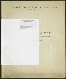 216 - Consorzio Seriola vecchia di Chiari - Ruolo d'esazione di taglie, canoni, contributi dovuti dagli utenti di Castrezzato - Anno 1974