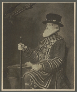 Gabbiano Bodini Floriano