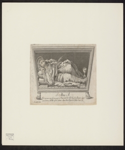 S.Albina M.[artire] Il di cui sacro corpo fu procurato in Roma dall'R.do Pre. Fausto da Bergamo Cappuccino ad istanza dell'R.mo Sig.r D. Antonio Maria Beloli Preposto di Valalta l'anno 1784