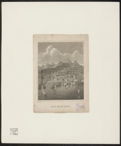 View of the City of Genoa / W. M. Craig del. ; T. Dixon sc