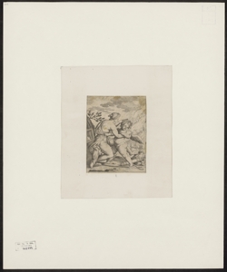 [Venere pettina Cupido]