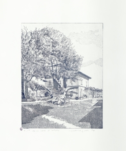 veduta di edificio e alberi Galli, Federica