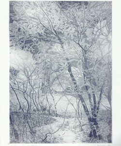 paesaggio con alberi Galli, Federica