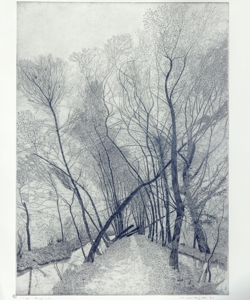 paesaggio fluviale con alberi Galli, Federica