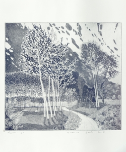 sentiero con alberi Galli, Federica