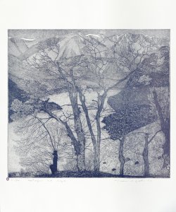 paesaggio lacustre con alberi spogli Galli, Federica