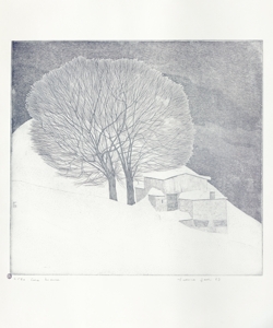 paesaggio invernale Galli, Federica